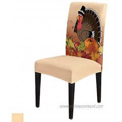 Dining Room Chair Covers Set of 4 Thanksgiving Turkey with Pumpkin Stretch Removable Washable Chair Protector Covers for Kitchen Hotel Wedding Ceremony