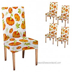 Halloween Chair Covers Musesh Autumn Chair Covers Halloween Orange Pumpkins Trendy Pattern Watercolor Fall Chair Covers Set of 4 Stretch Removable Washable Slipcovers for Dining Room Hotel Kitchen